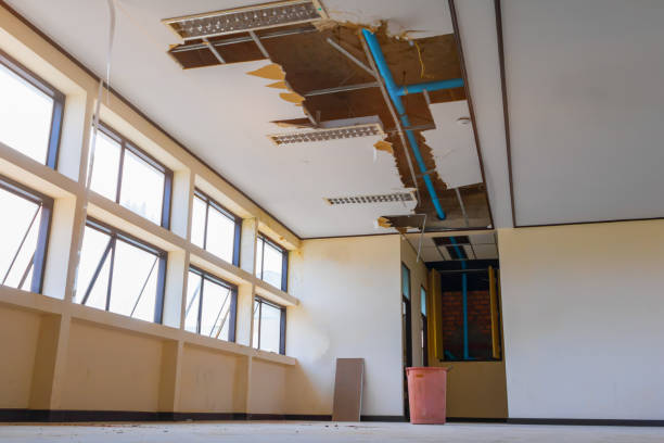 Best Residential water damage restoration  in Spencer, IA