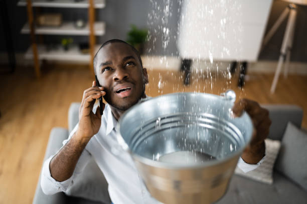 Best Water damage restoration near me  in Spencer, IA