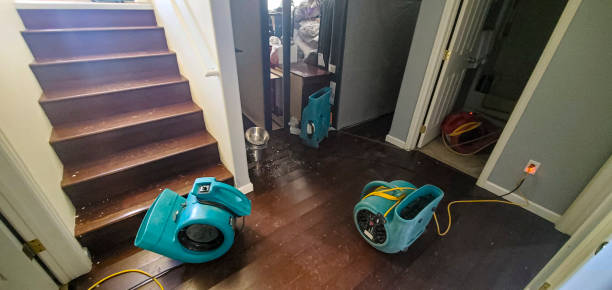 Best Water damage restoration near me  in Spencer, IA