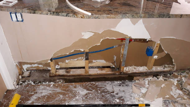 Best Ceiling water damage repair  in Spencer, IA