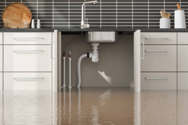 Best Carpet water damage restoration  in Spencer, IA