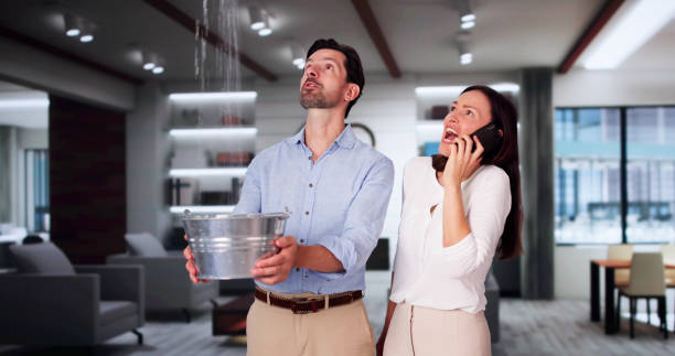 Best Flood restoration services  in Spencer, IA