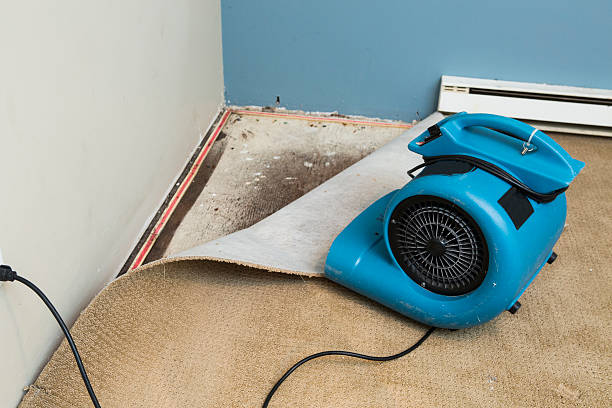 Best Flood restoration services  in Spencer, IA